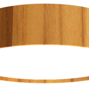 Cylindrical Ceiling Flush Light