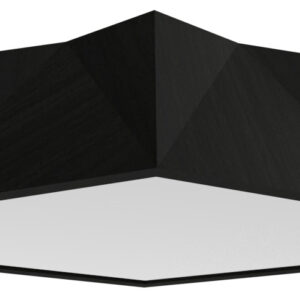 Physalis Ceiling Light