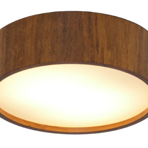 Cylindrical Ceiling Light