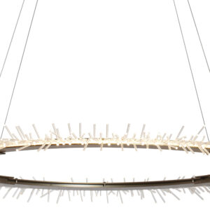 Anemone Circular Pendant