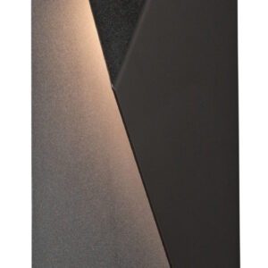 Carbon Outdoor Wall Sconce