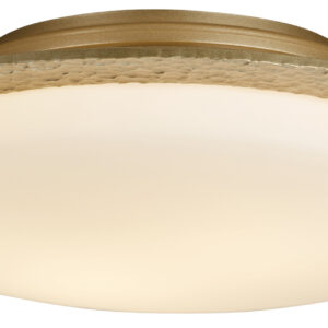 Oceanus Flush Ceiling Light Fixture