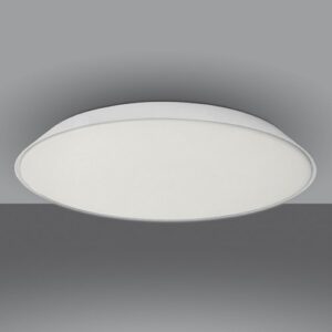 Febe Wall / Ceiling Light