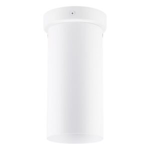 1L Flush Mount / Plafonnier 1L