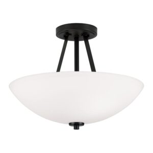 Two Light Dual Mount Semi Flush/Pendant