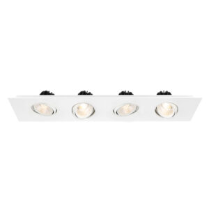 MULT,DOWNLIGHT,4LT,12W,WHT