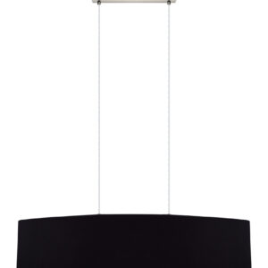 2L Pendant Light / Luminaire suspendu 2L