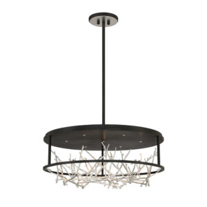 AERIE-CHD-31IN-SBM
