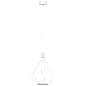 2L LED Pendant Light / Luminaire suspendu DEL 2L