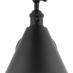 Salem Single Arm One Light Sconce