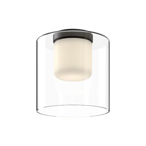 Birch 9-in Black/Clear LED Flush Mount