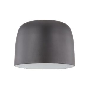 Cayne 12-in Black/White LED Flush Mount