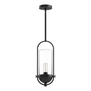 Cyrus 8-in Clear Glass/Matte Black 1 Light Pendant