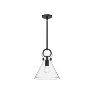 Emerson 11-in Matte Black/Clear Glass 1 Light Pendant