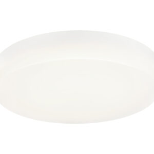 Zelle Ceiling Mount
