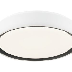 Alamus Ceiling Mount