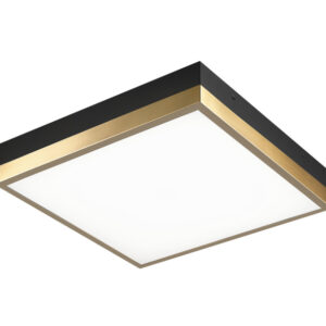Tux Flush Mounts