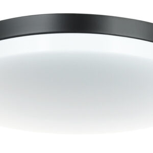 Orion Ceiling Mount