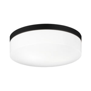Xenon Ceiling Mount