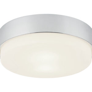 Quintz Ceiling Mount