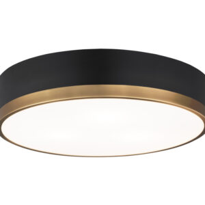 Trydor Ceiling Mount