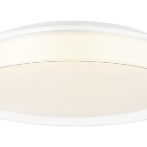 CALLUM Flush Mounts