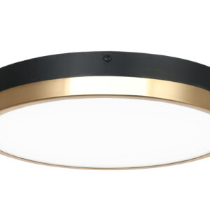 Tone Ceiling Mount