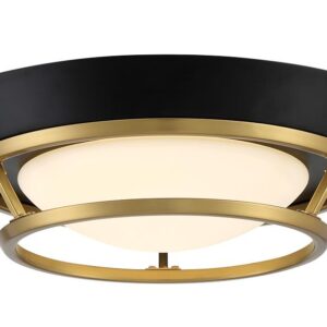 Beam Me Up! - 14" LED Flush Mount