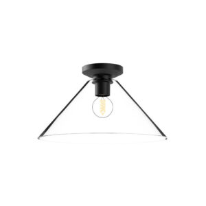 Salem 14-in Clear Glass/Matte Black 1 Light Flush Mount