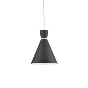 Vanderbilt 10-in Black With Gold Detail 1 Light Pendant
