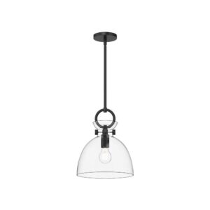 Waldo 11-in Matte Black/Clear Glass 1 Light Pendant