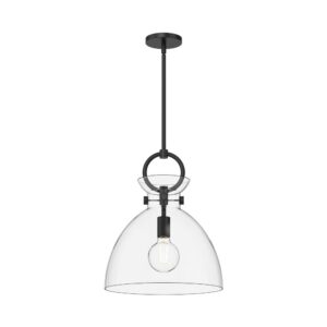 Waldo 14-in Matte Black/Clear Glass 1 Light Pendant