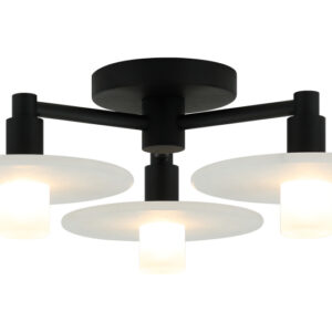 Monument Ceiling Mount Matte Black