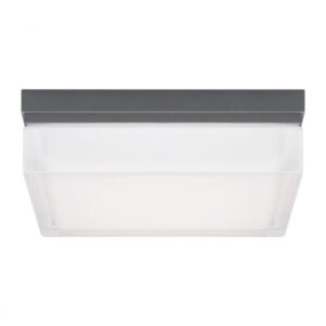 Boxie Large Outdoor Wall/Flush Mount