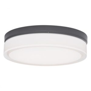 Cirque Large Outdoor Wall/Flush Mount