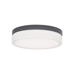 Cirque Small Outdoor Wall/Flush Mount