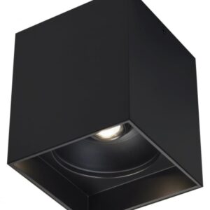 Exo 6 Flush Mount