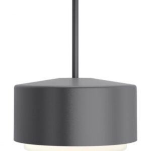 Roton 12 Outdoor Pendant
