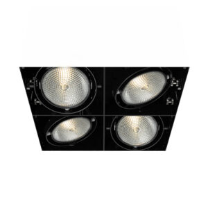 MULT,PAR30,TRIMLSS,4LT,75W,BLK