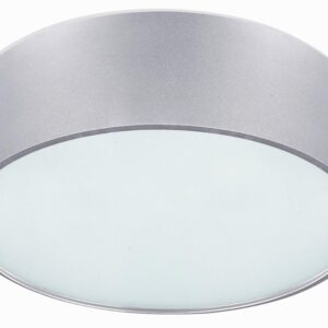Dexter 2 Light Flush Mount, Aluminum Finish